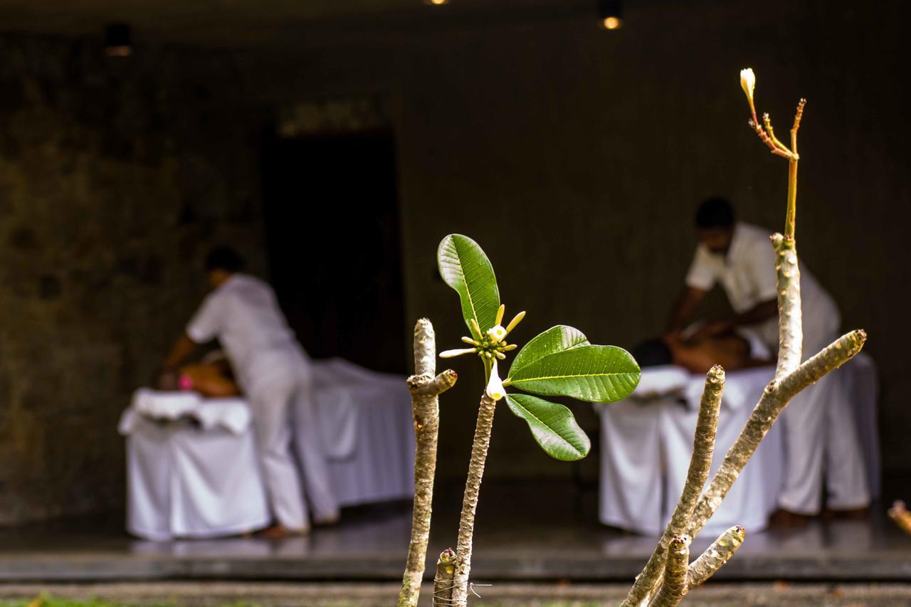 Santani Wellness Kandy Bagian luar foto