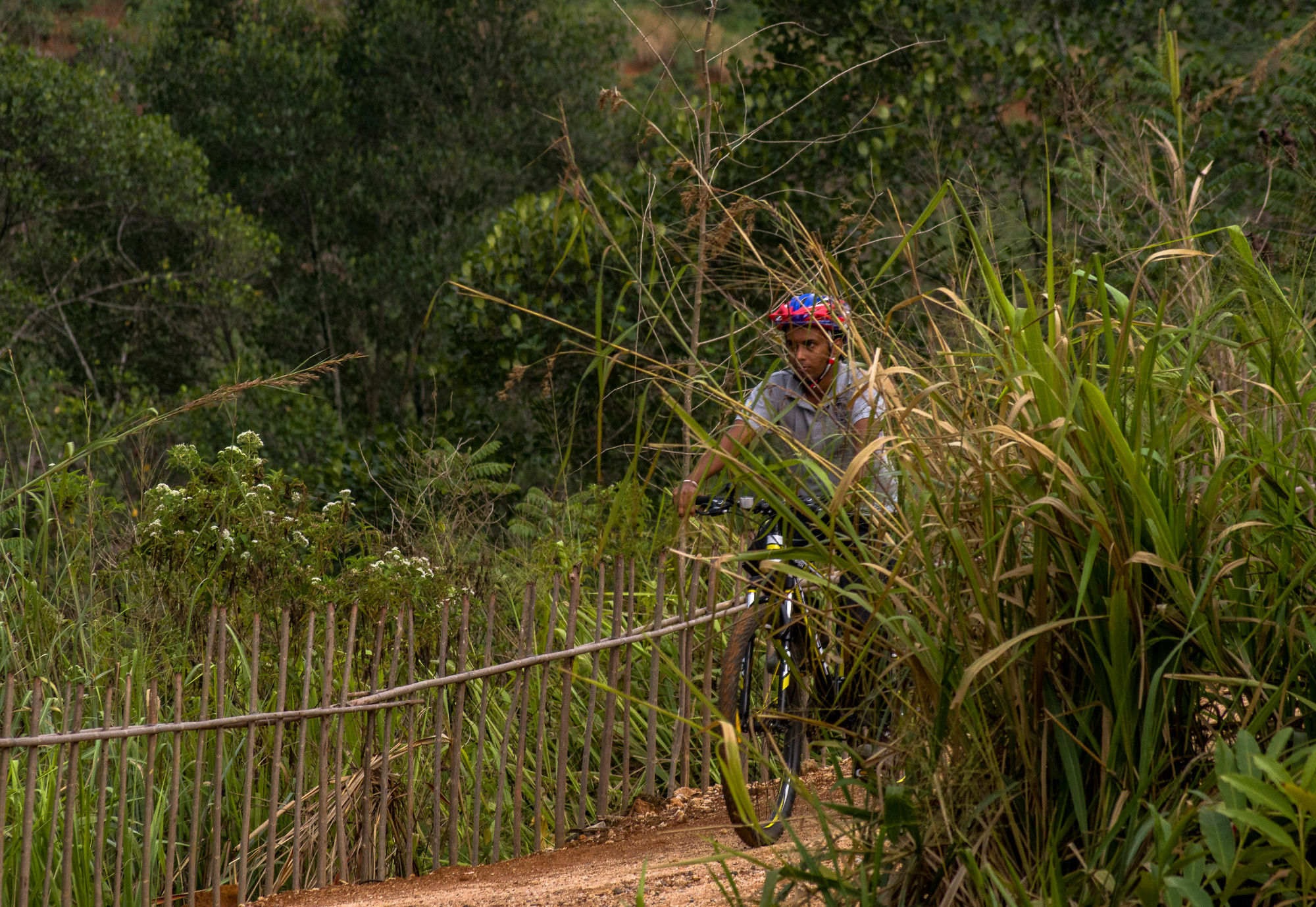 Santani Wellness Kandy Bagian luar foto